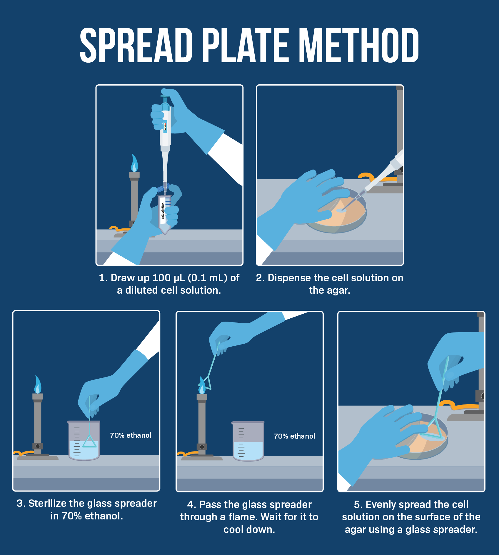 what is the purpose of the spread plate technique